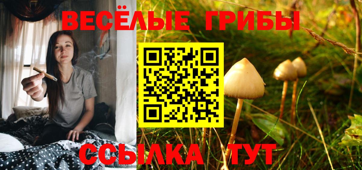 Псилоцибиновые грибы ЛСД Кунгур
